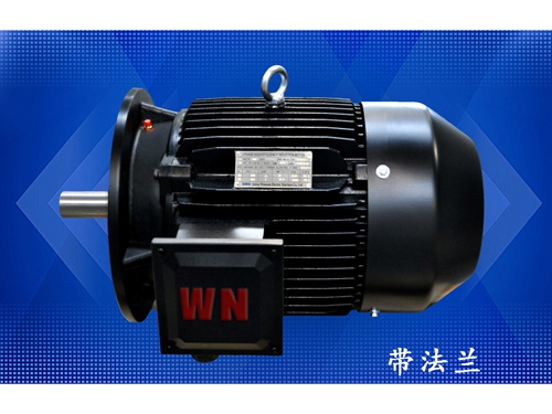 10 多級(jí)泵專用電機（1）