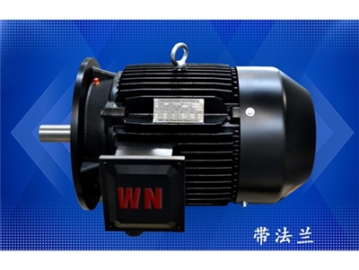 多(duō)級泵專(zhuān)用電機(jī)（1）