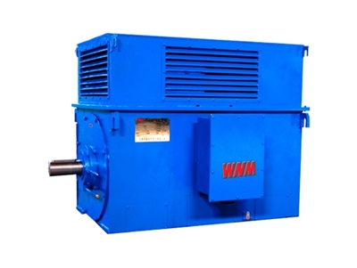 Y系列中型(xíng)高壓高效電(diàn)動機