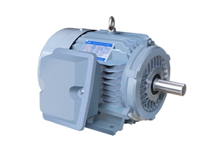 NE系列(lie)高效高轉矩(jǔ)三相異步電(diàn)動機