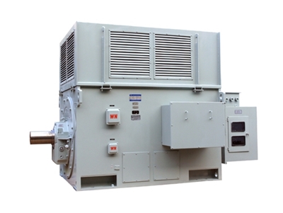 YR系列高壓(yā)三相異步電(dian)動機