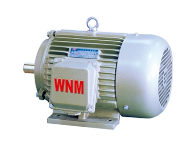 YD2系列變(biàn)極多速(sù)三相異(yi)步電動(dong)機