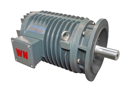 YG系(xì)列輥道(dao)用調速(sù)三相異(yì)步電動(dòng)機