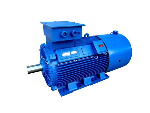 2 YLVF低(di)壓大功率變(biàn)頻電動機