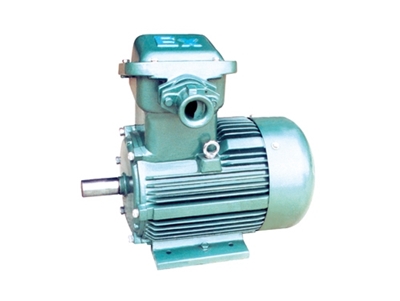 YFB系列粉塵防爆型(xíng)三相異步電動機(jī)