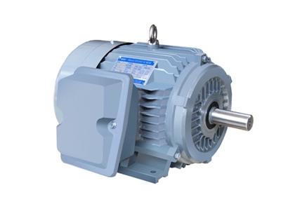 NE系列高效高轉矩(jǔ)三相異步電動機(ji)