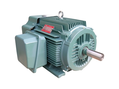 NEP系列超高(gao)效率三相異步電(diàn)動機