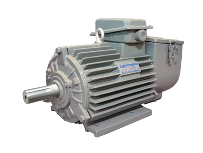 YZR系列冶(yě)金起重用三相異(yi)步電動機