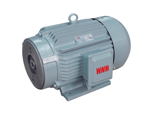 1 YYB系列油(you)泵專用三相異步(bù)電動機