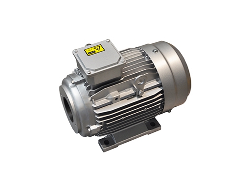 1 YYVF2系列(liè)新能源汽(qì)車助力轉(zhuan)向泵電機(jī)